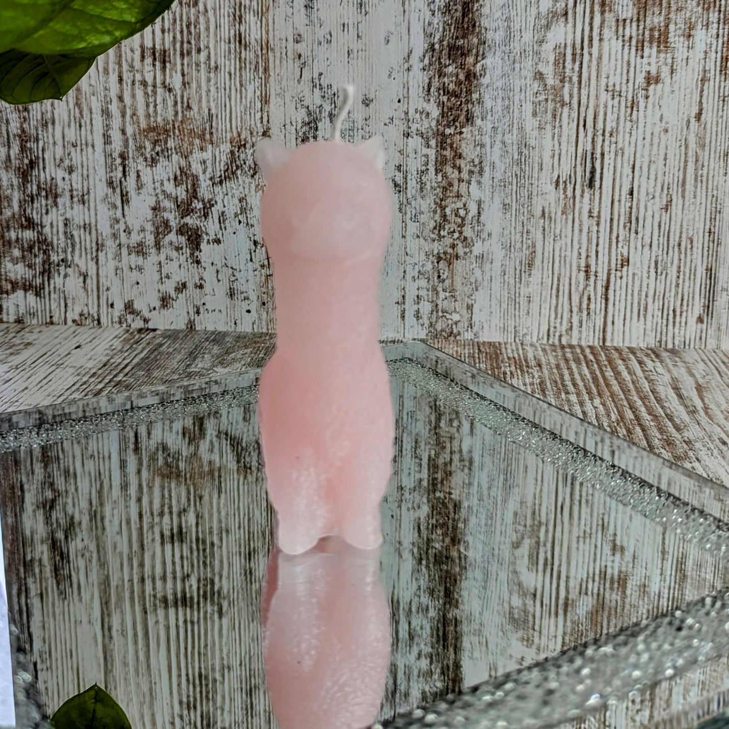 Niedliche Alpaka-Kerze – Limitierte Edition